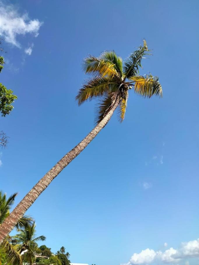 Villa Nautilia, Vue Mer, Proche Plage Les Trois-Ilets Exteriör bild