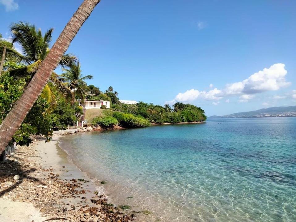 Villa Nautilia, Vue Mer, Proche Plage Les Trois-Ilets Exteriör bild